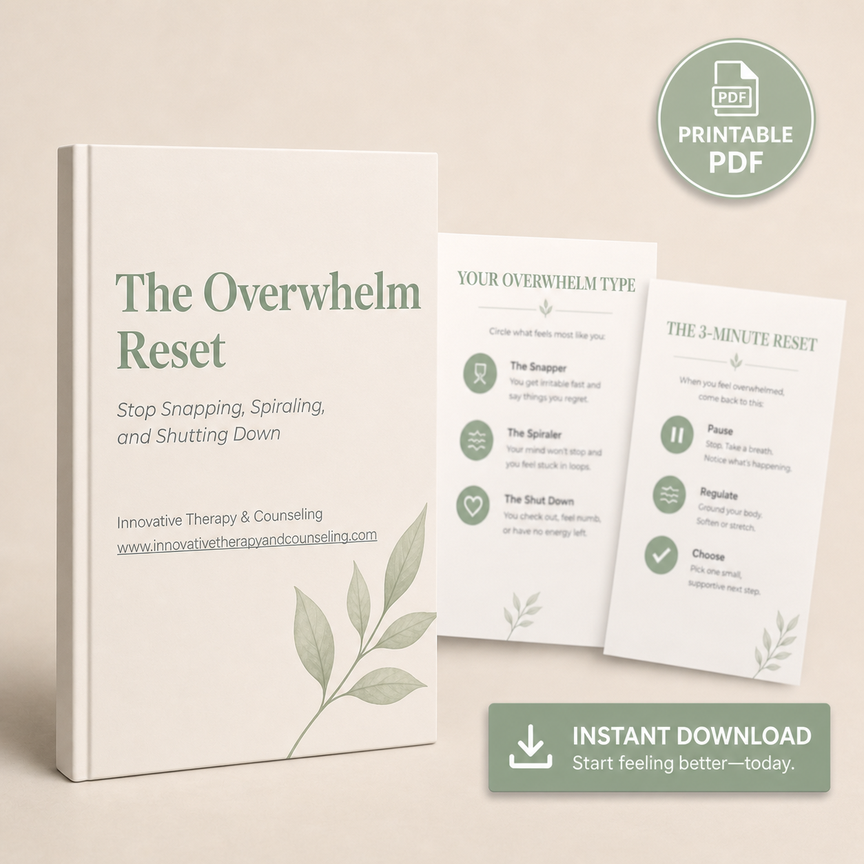 The Overwhelm Reset PDF Cover